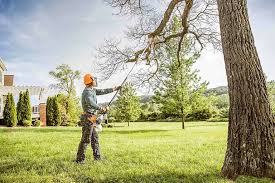 Best Storm Damage Tree Cleanup  in Tiger Point, FL